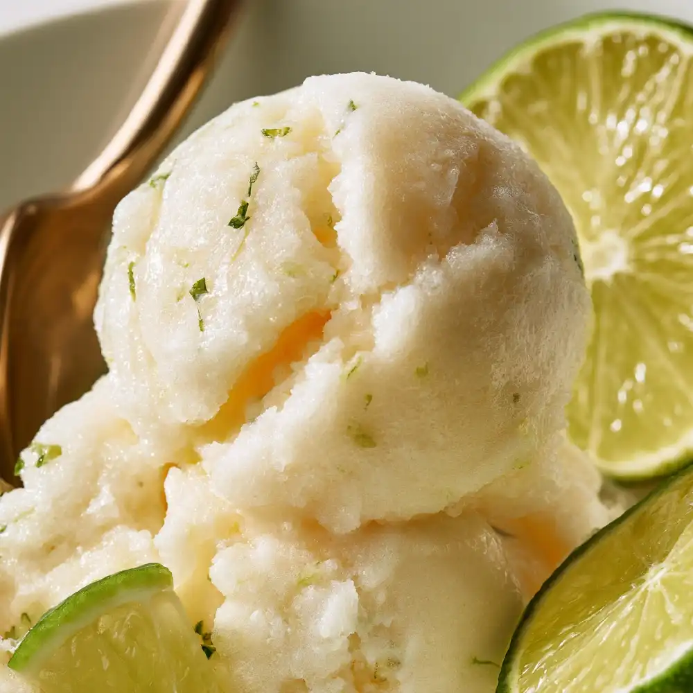 Dairy-Free Lemon Sorbet with Lime 1 Dairy Free Lemon Sorbet with Lime 4 compressed - Danyrecipes